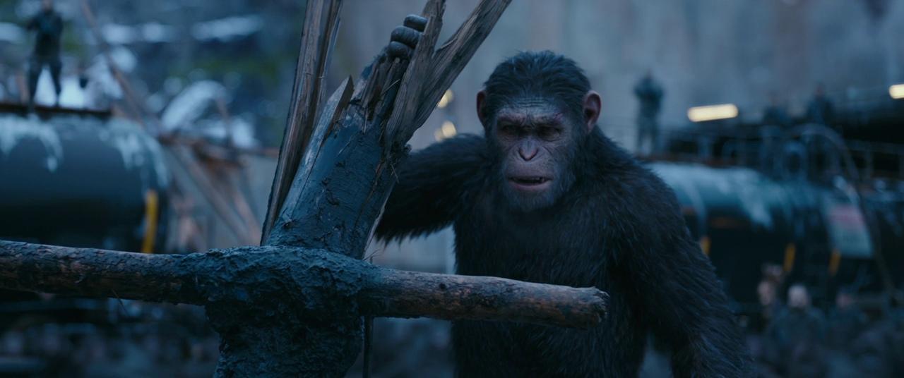 War for the Planet of the Apes – [FILMGRAB]