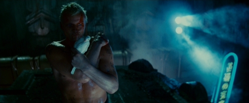 Blade Runner, frame 48