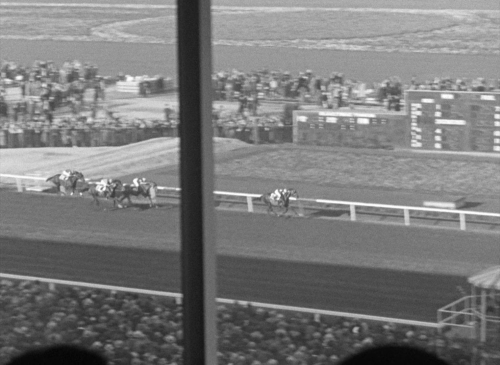 A Day At The Races 09