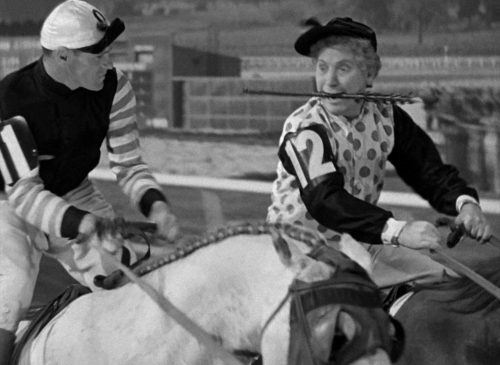 A Day At The Races 10