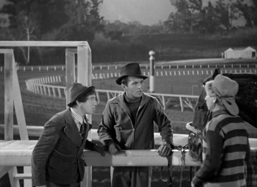 A Day At The Races 17
