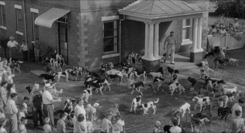 A Face In The Crowd 11