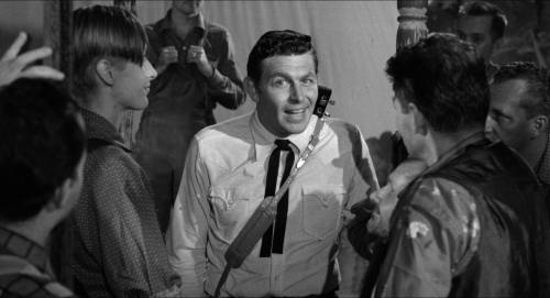 A Face In The Crowd 50