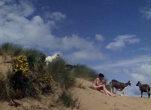 A Matter of Life and Death 14