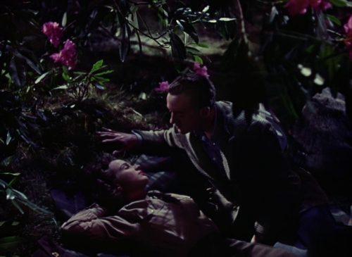 A Matter of Life and Death 19