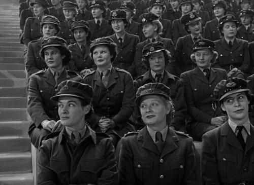 A Matter of Life and Death 50