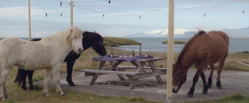 A White White Day 14