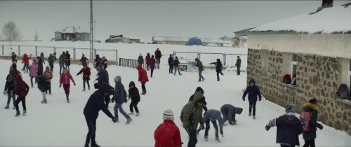 About Dry Grasses 05