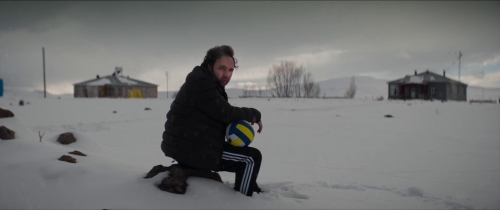 About Dry Grasses 18