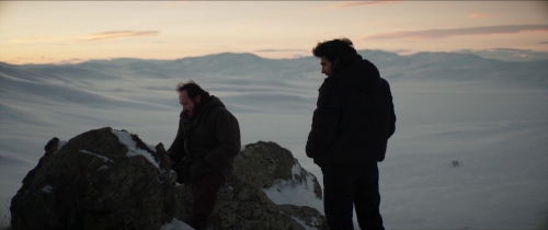 About Dry Grasses 21