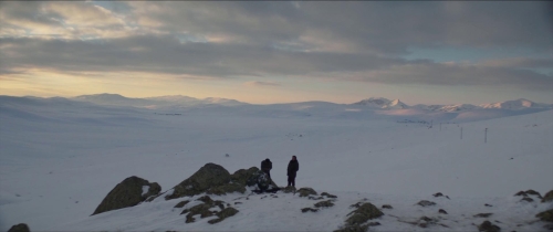 About Dry Grasses 28