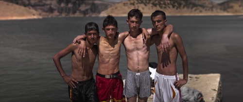 About Dry Grasses 31