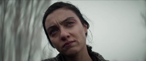 About Dry Grasses 33