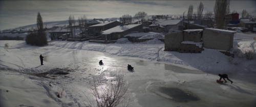 About Dry Grasses 47