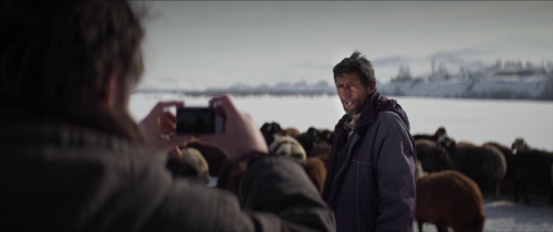 About Dry Grasses 50