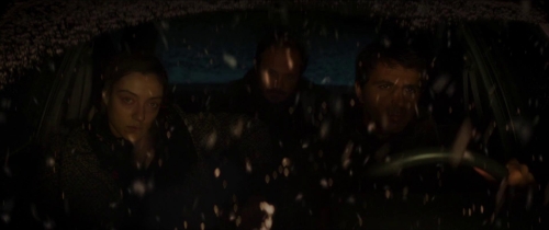 About Dry Grasses 52