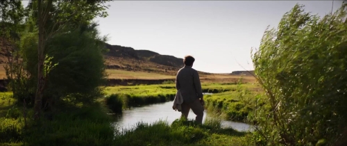 About Dry Grasses 53