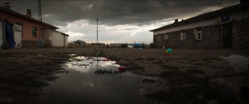 About Dry Grasses 57