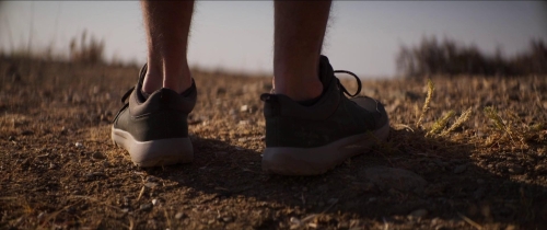 About Dry Grasses 61