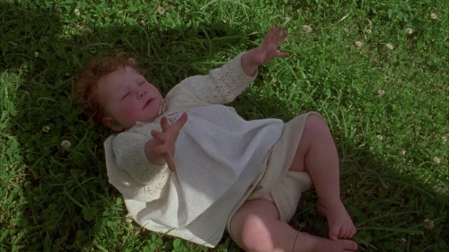 An Angel At My Table 02