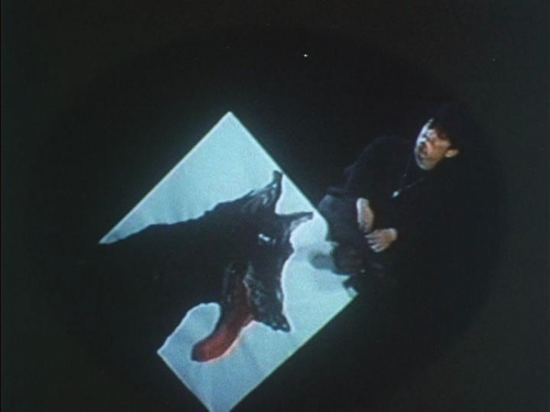 An Attempt to Describe 003