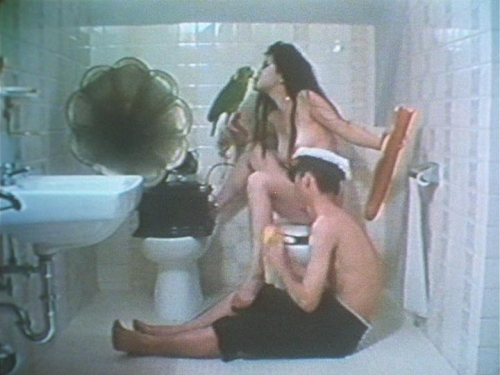 An Attempt to Describe 005