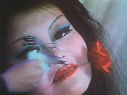 An Attempt to Describe 008