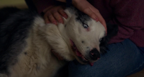 Anatomy of a Fall 58