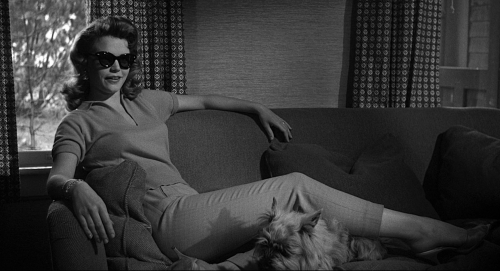 Anatomy of a Murder 16