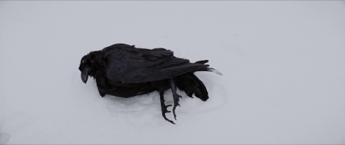 Anything For Jackson 11