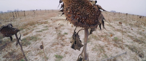 At Eternitys Gate 10