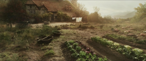 Beauty  The Beast (2014) 03