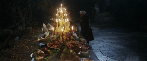 Beauty  The Beast (2014) 08