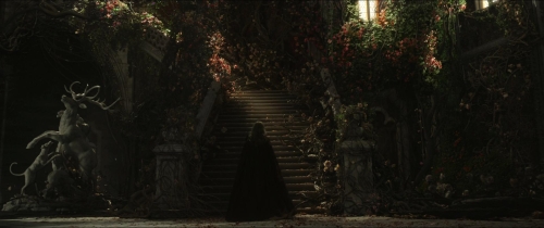 Beauty  The Beast (2014) 15