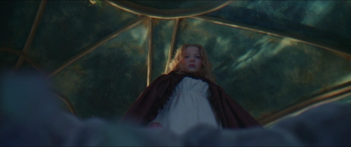 Beauty  The Beast (2014) 17