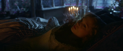 Beauty  The Beast (2014) 20