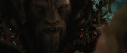 Beauty  The Beast (2014) 25