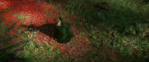 Beauty  The Beast (2014) 29