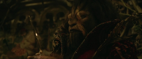 Beauty  The Beast (2014) 31