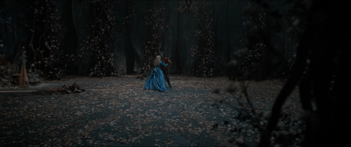 Beauty  The Beast (2014) 38