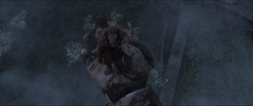 Beauty  The Beast (2014) 55