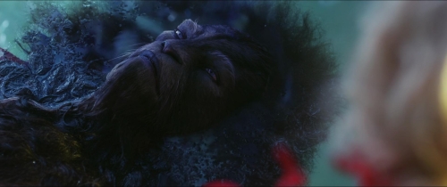 Beauty  The Beast (2014) 59