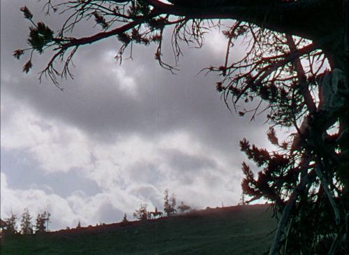 Bend of the River 18