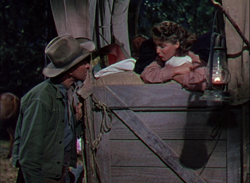 Bend of the River 35