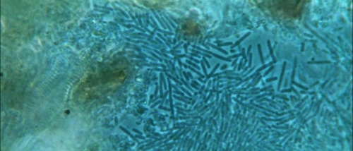 Billion Dollar Brain 27