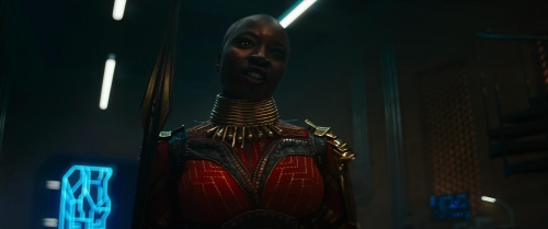 Black Panther Wakanda Forever 08
