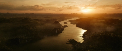Black Panther Wakanda Forever 11
