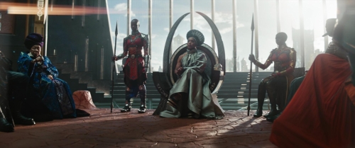 Black Panther Wakanda Forever 12
