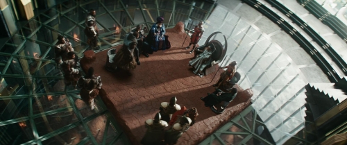 Black Panther Wakanda Forever 13