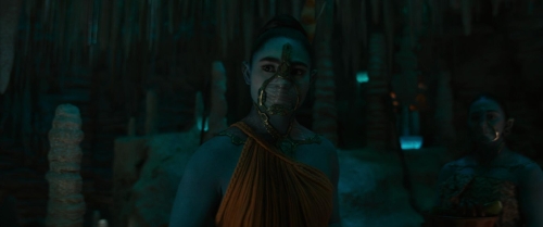 Black Panther Wakanda Forever 22